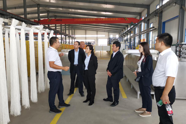 陜西航天建設(shè)集團有限公司總經(jīng)理、黨委副書記謝明娟率隊赴遼寧一諾環(huán)保產(chǎn)業(yè)集團開展考察調(diào)研工作